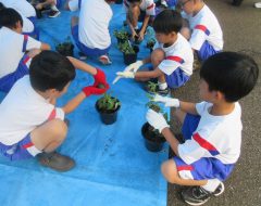 2025年9月11日　小学校スプレーギク教室3